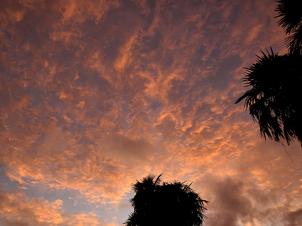 Sunset2.jpg