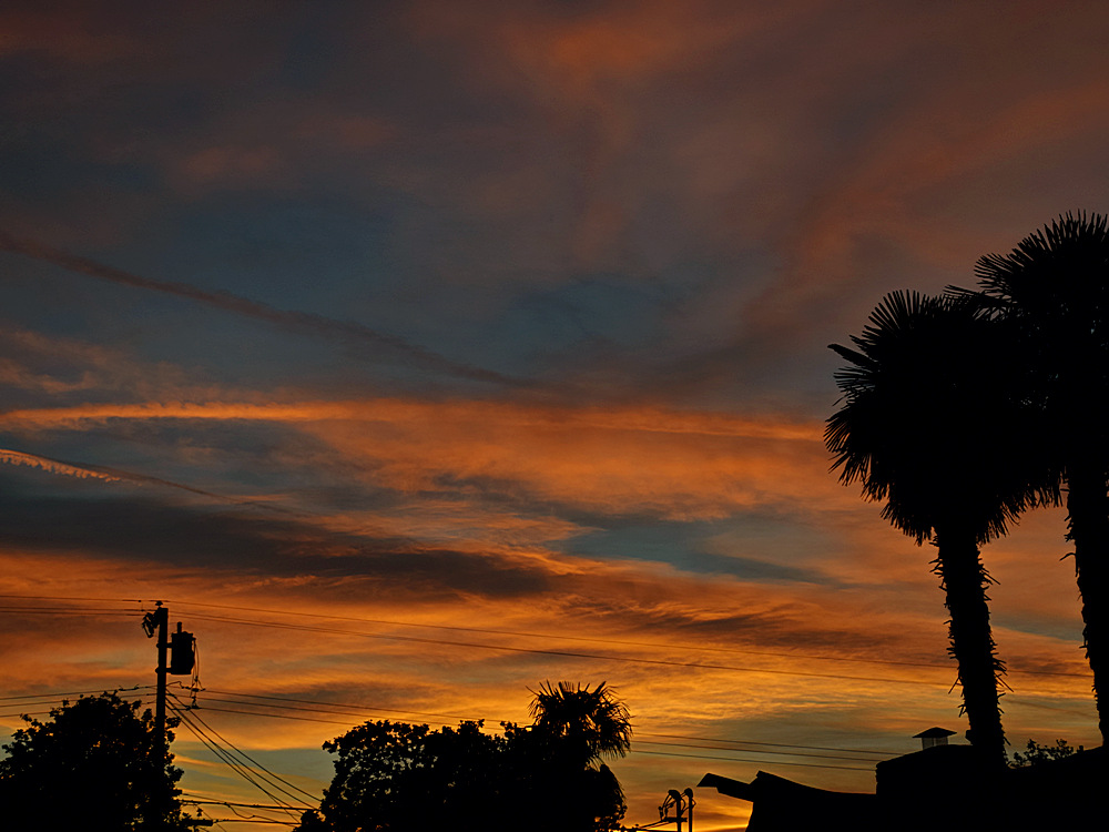 Sunset2.jpg