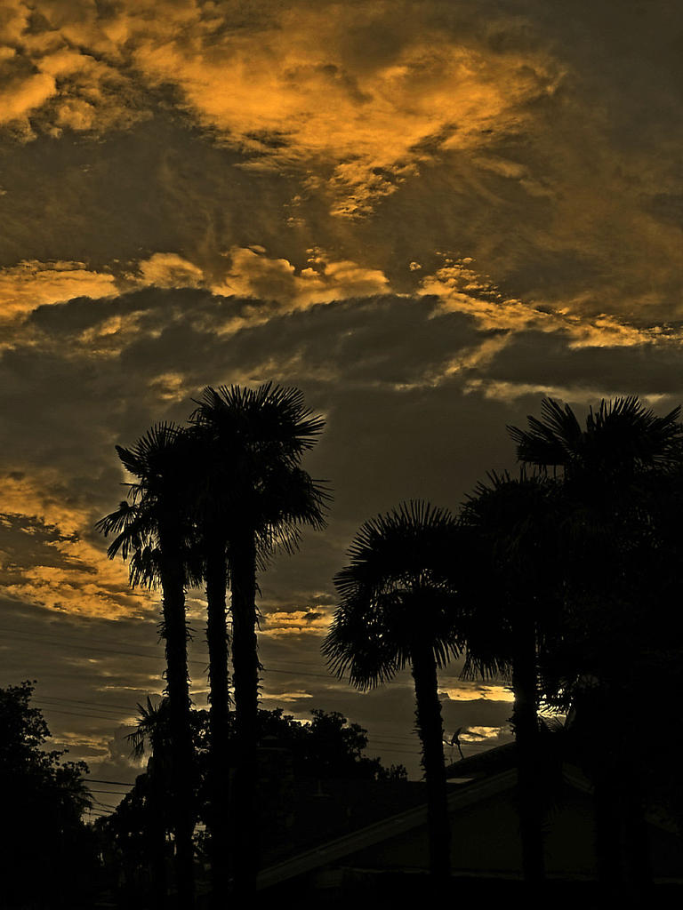 Sunset2.jpg