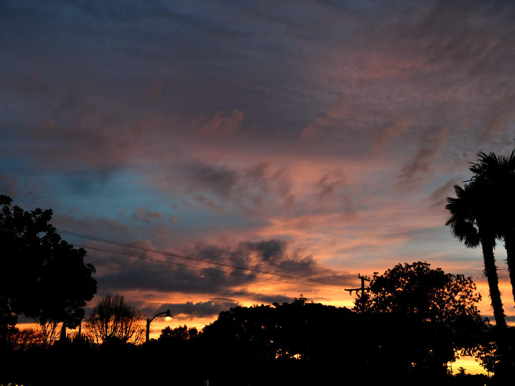 Sunset2.jpg