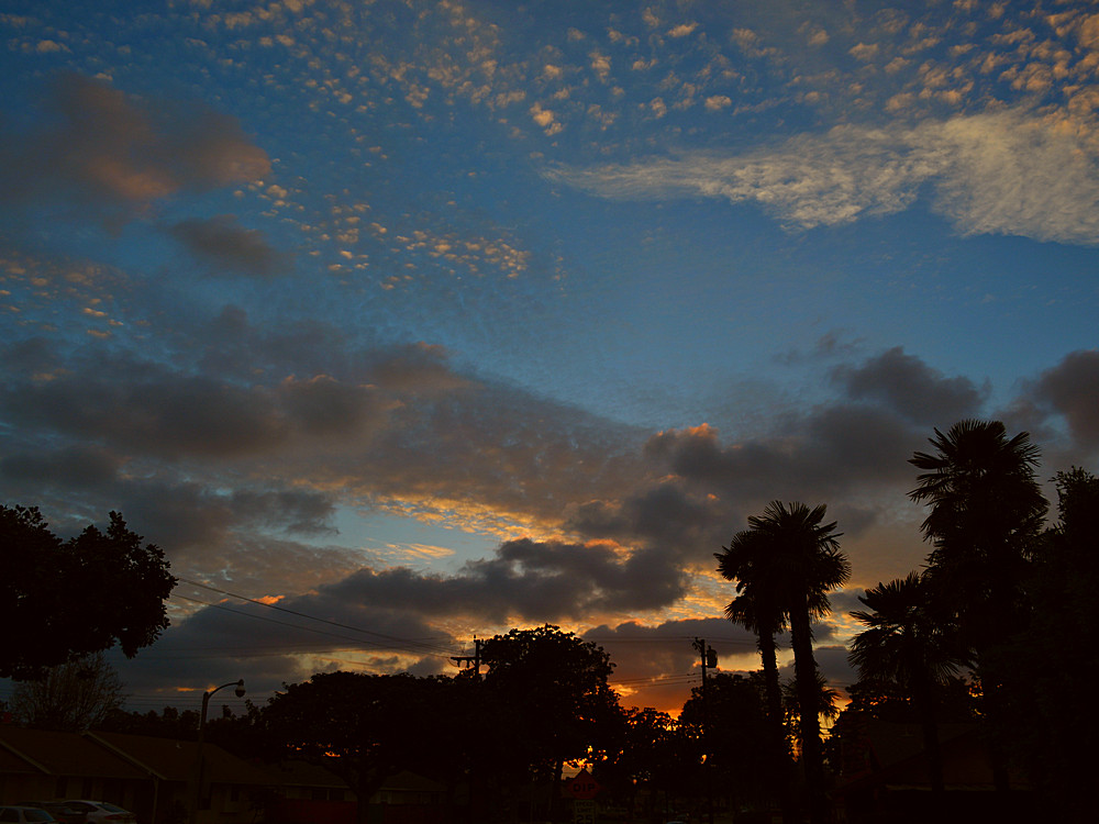 Sunset2.jpg