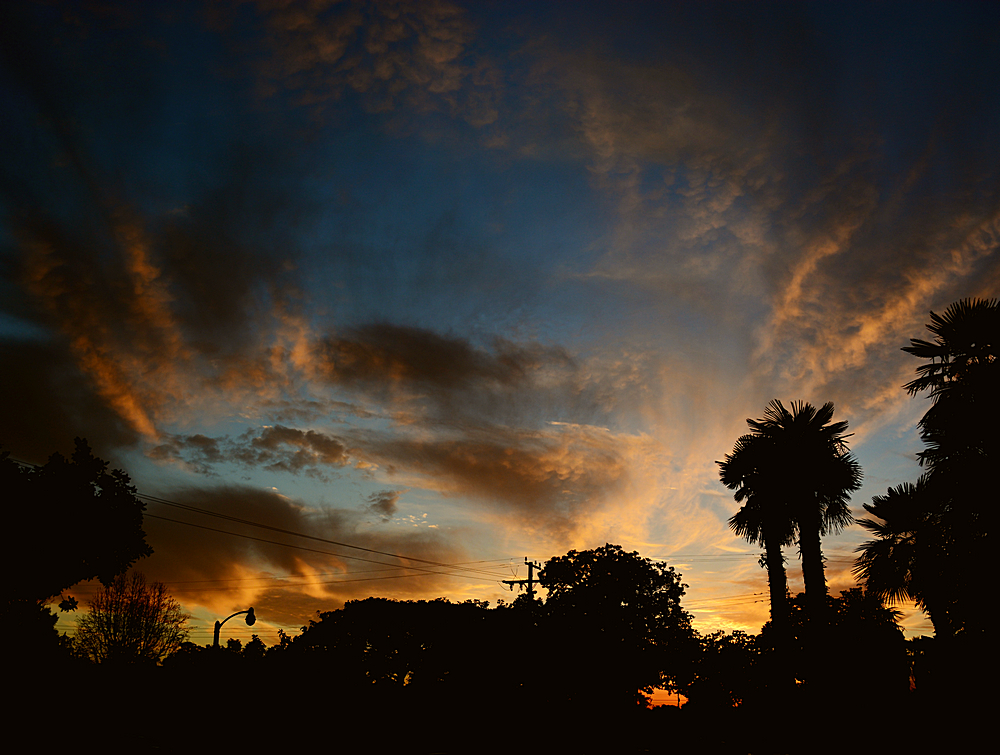 Sunset4.jpg