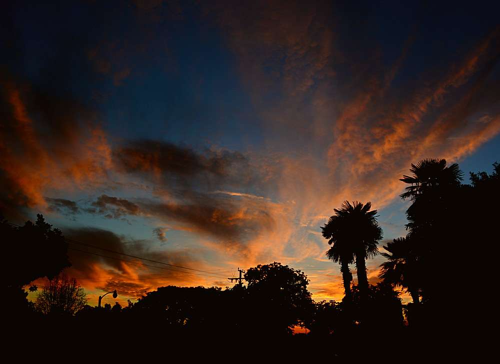 Sunset5.jpg