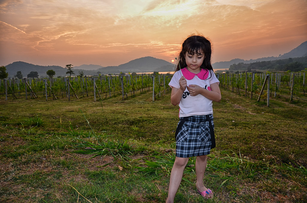 sunsetgrape-1.jpg