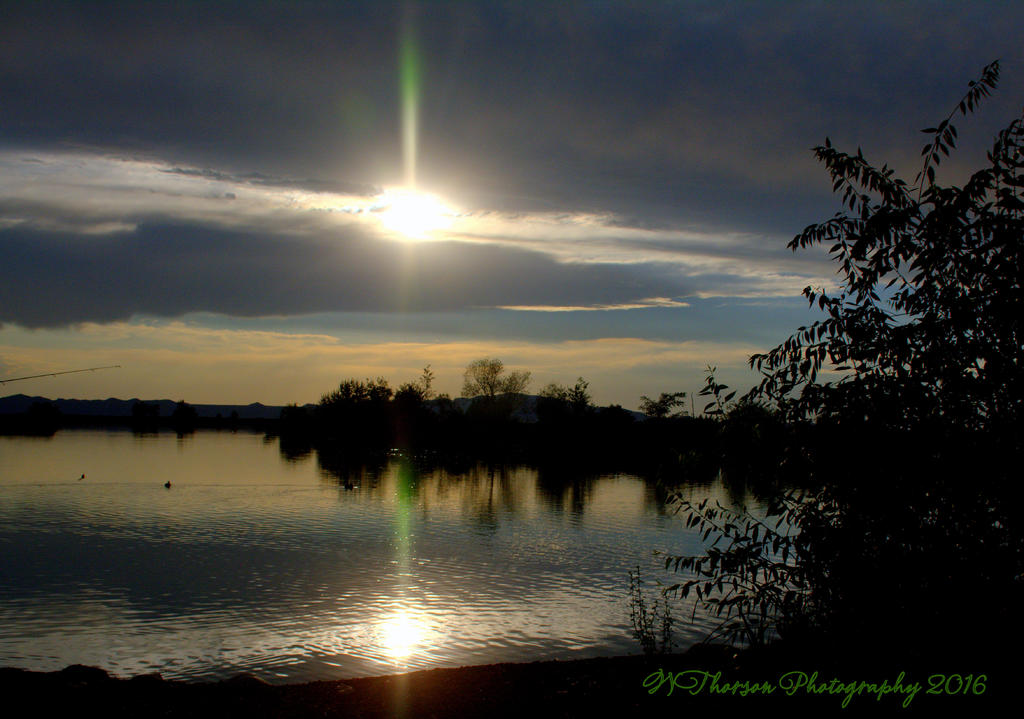 Sunstar Reflected 8-17-2016.jpg