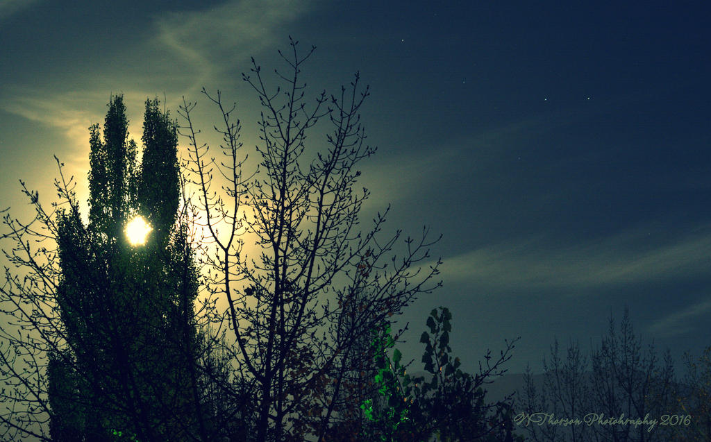 Super Moon Starry Night 11-14-2016.jpg