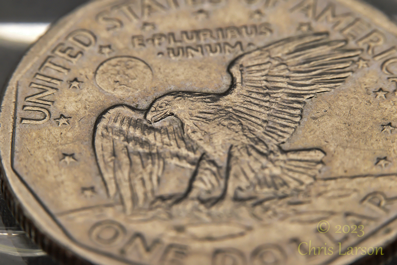 Susan B Dollar01.jpg