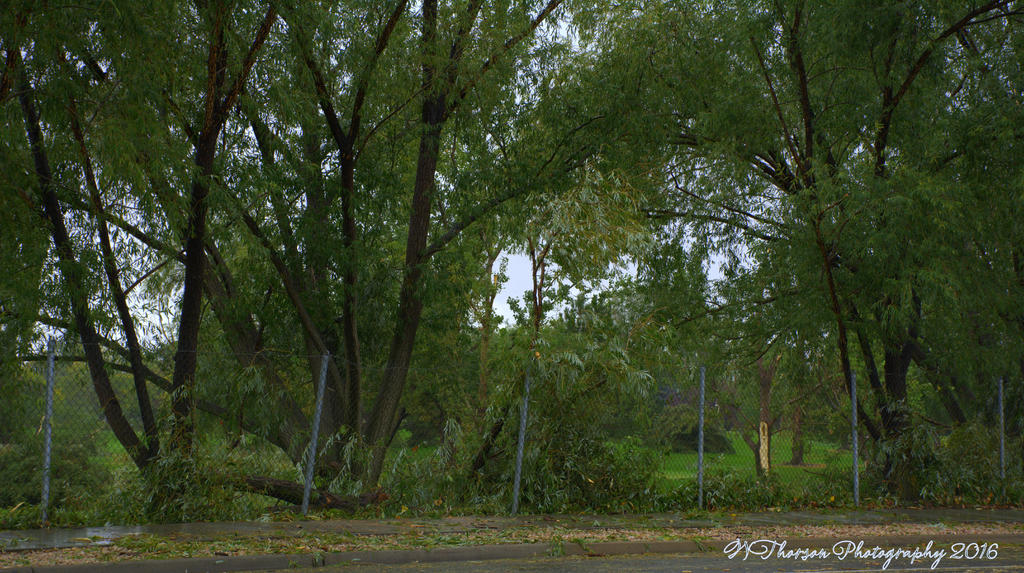 Swan Lakes Golf Course #2 9-23-2016.jpg