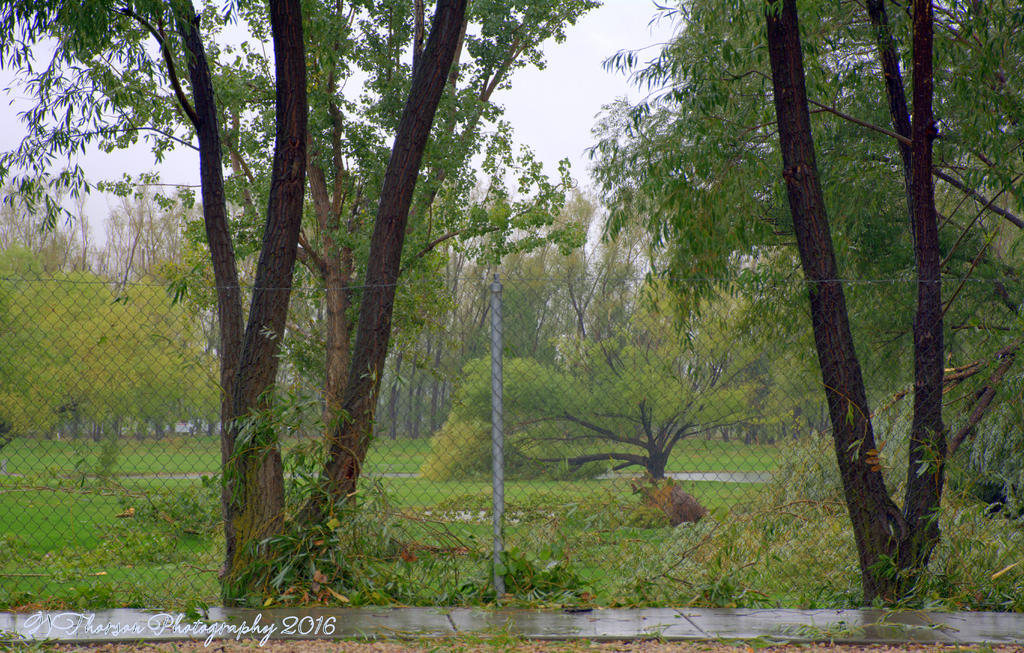 Swan Lakes Golf Course #3 9-23-2016.jpg