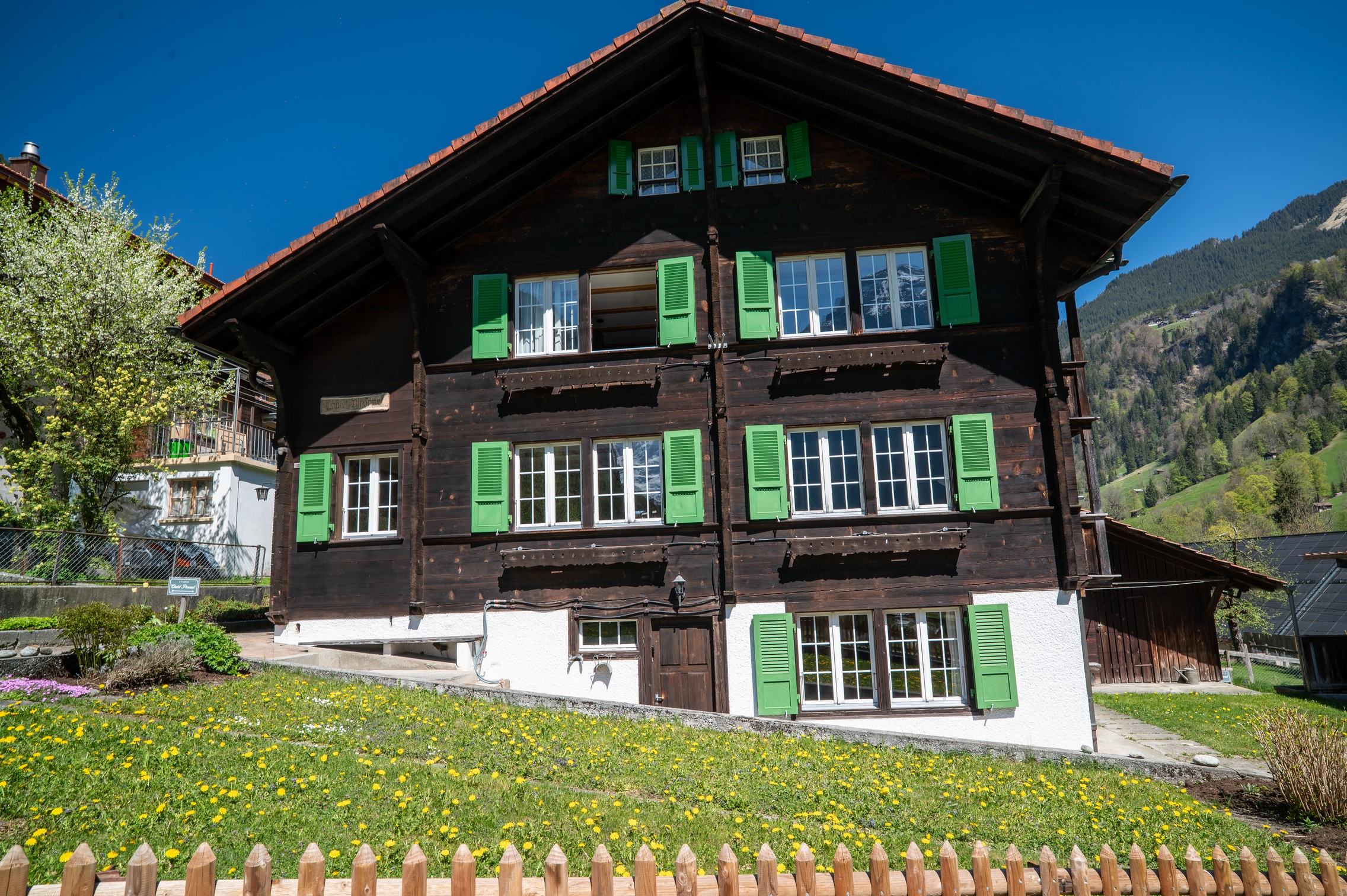 swiss-21.jpg