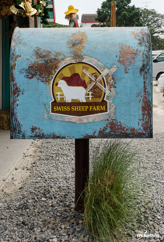 swiss-sheep-farm-hua-hin-1.jpg
