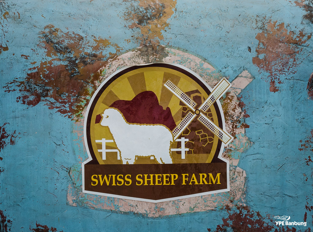 swiss-sheep-farm-hua-hin-2.jpg