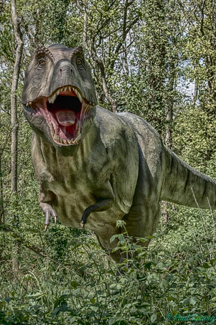 T-Rex 1.jpg
