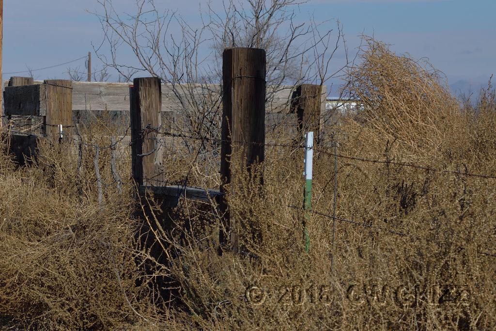 t_weed-corner-cr.jpg
