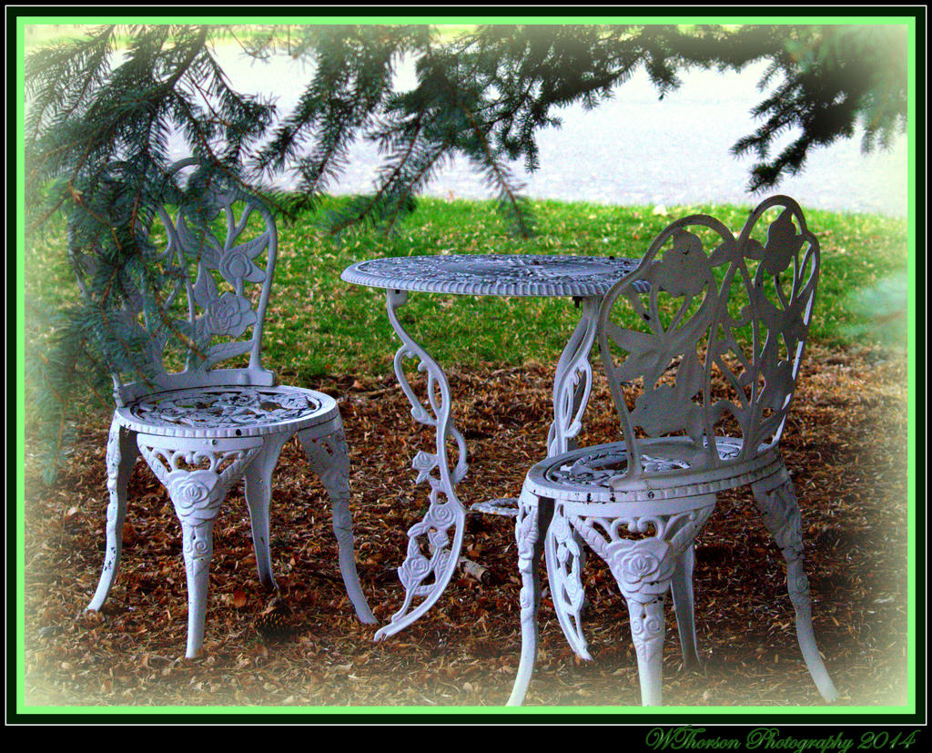 Table under the Pine.jpg