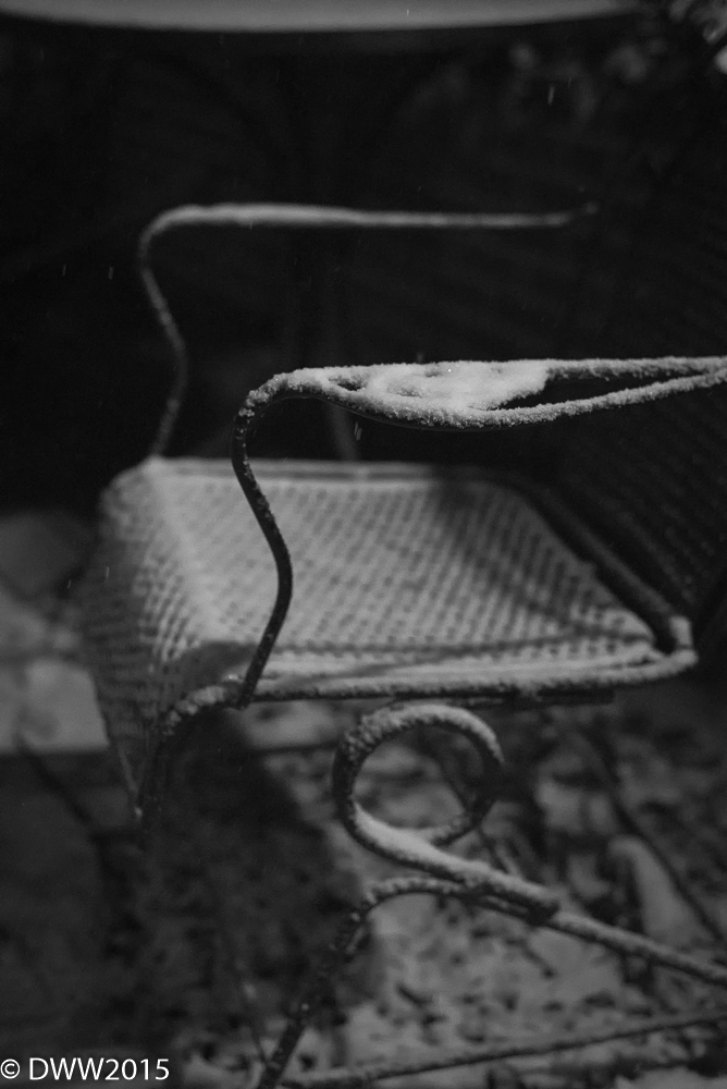 Take a seat (1 of 1).jpg