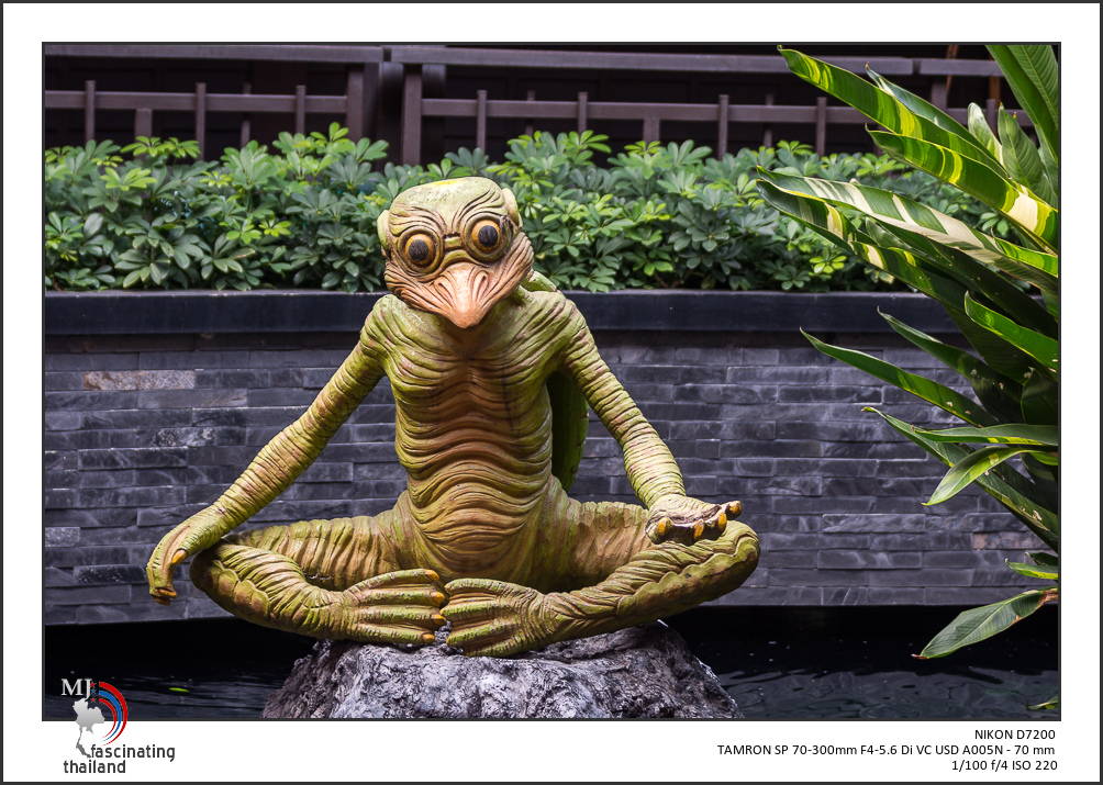 tamron-shopping-9-2.jpg