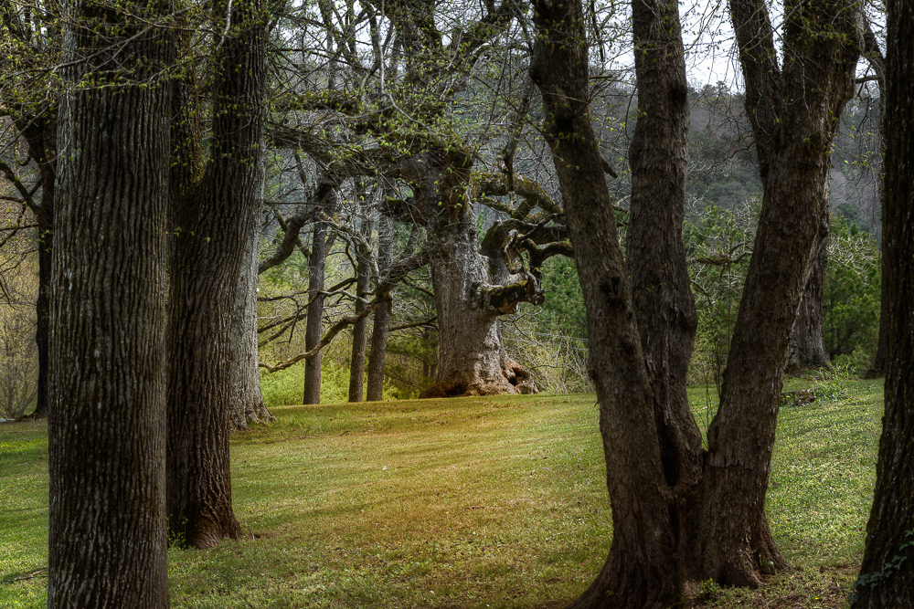 Tate,GA--2.jpg