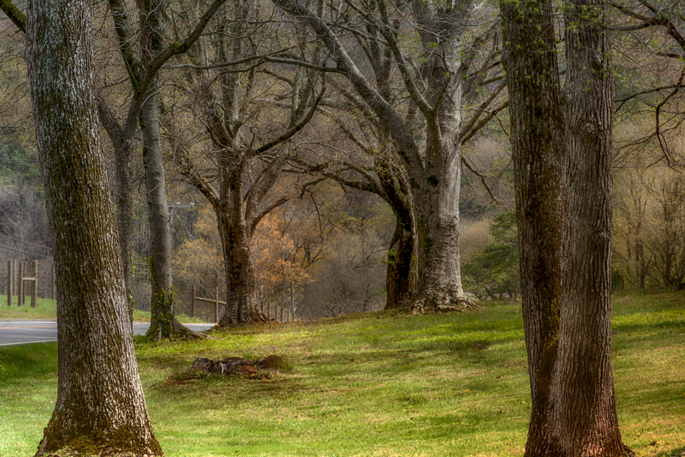 Tate,GA--5.jpg