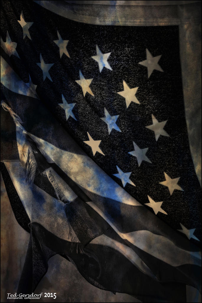 Tattered Glory  2015  BW.jpg