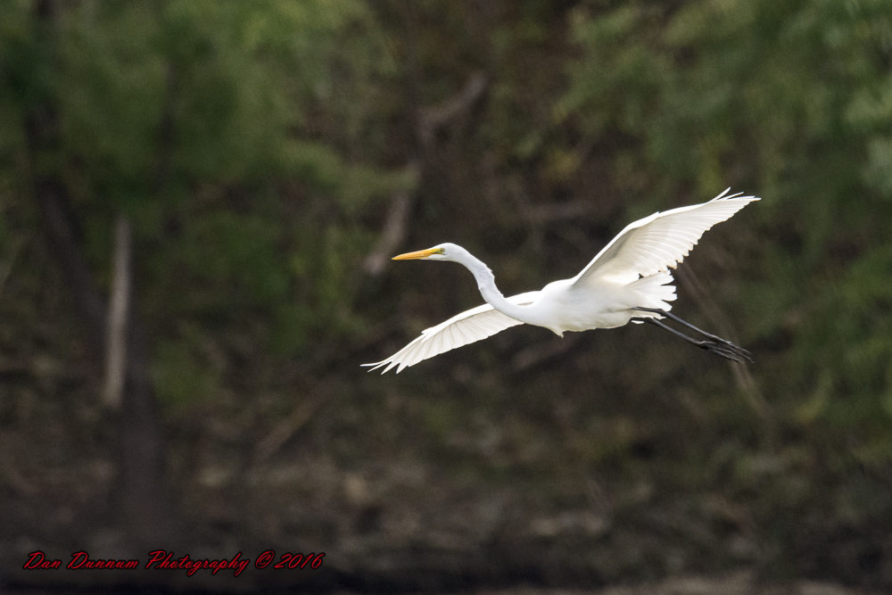 Taylorsville Lake-5577.jpg