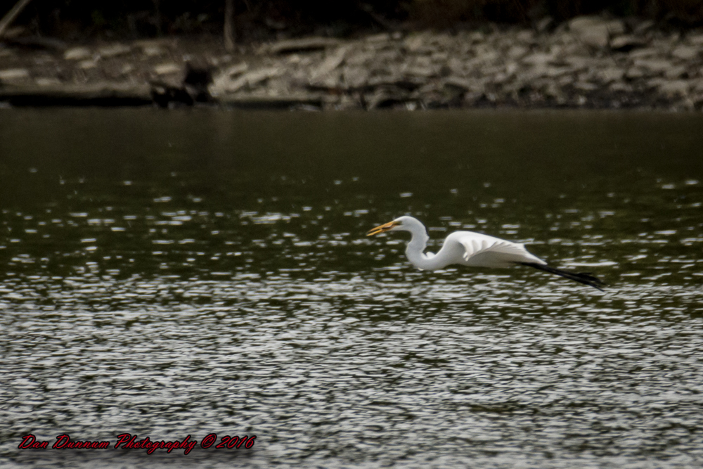 Taylorsville Lake-5652.jpg
