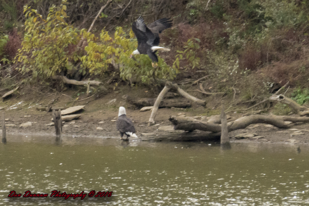 Taylorsville Lake-5747.jpg