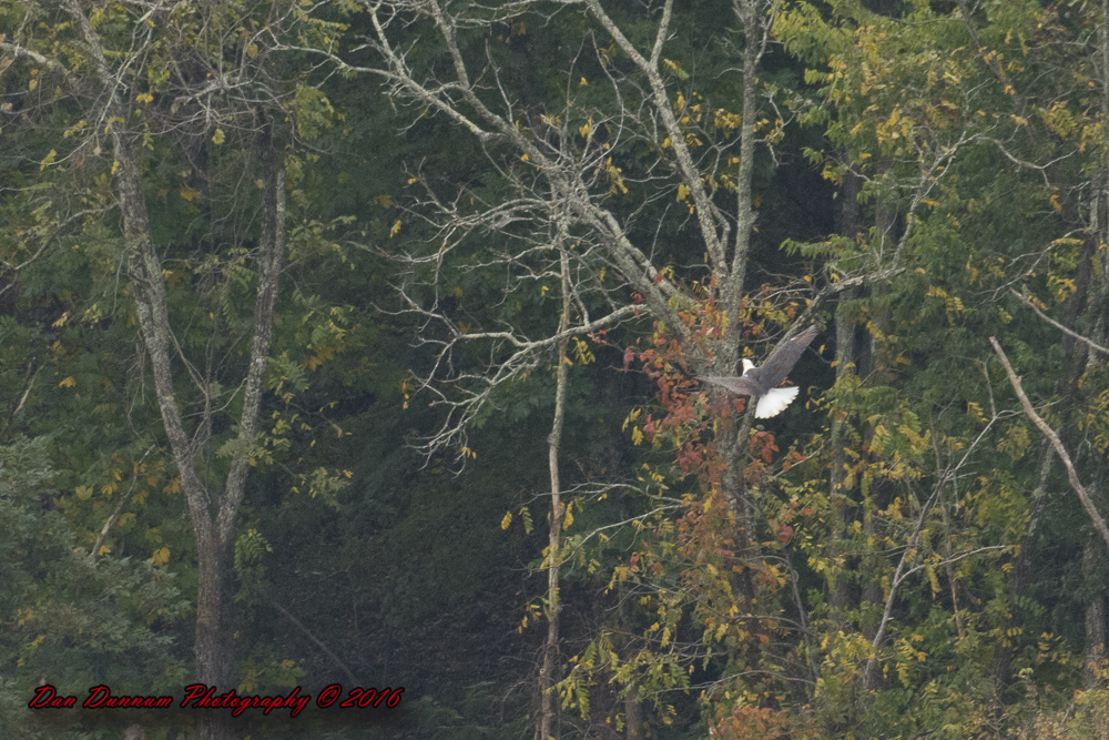 Taylorsville Lake-5761.jpg