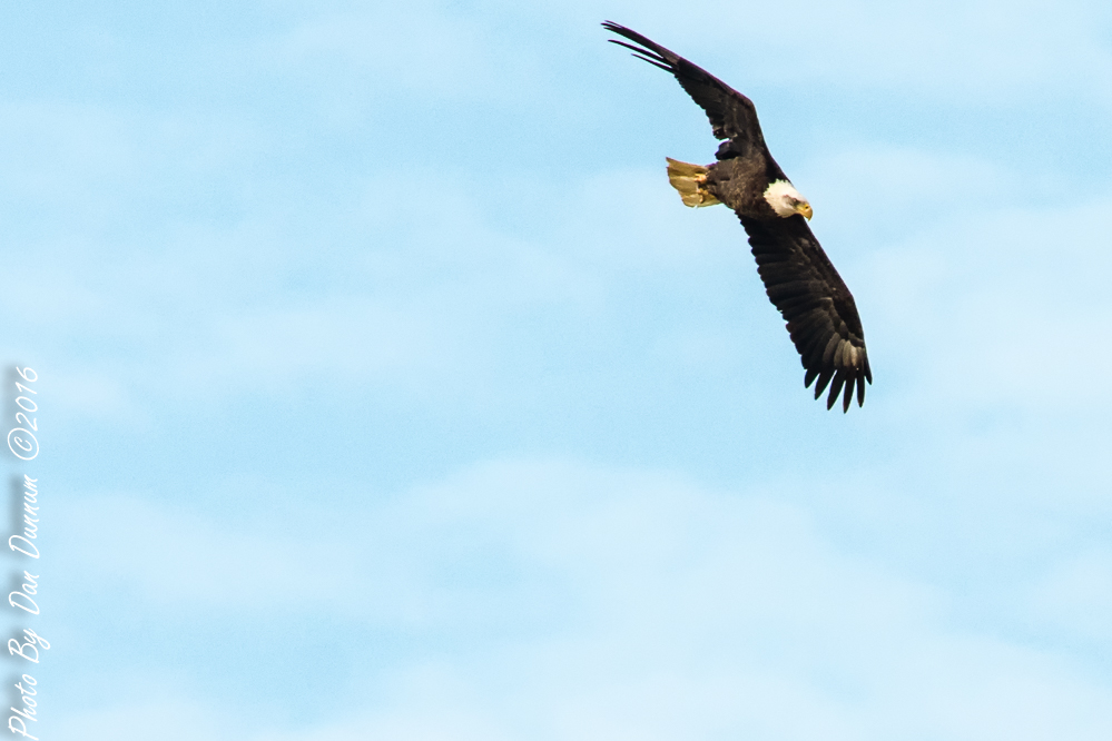 Taylorsville Trip-2682-Edit.JPG