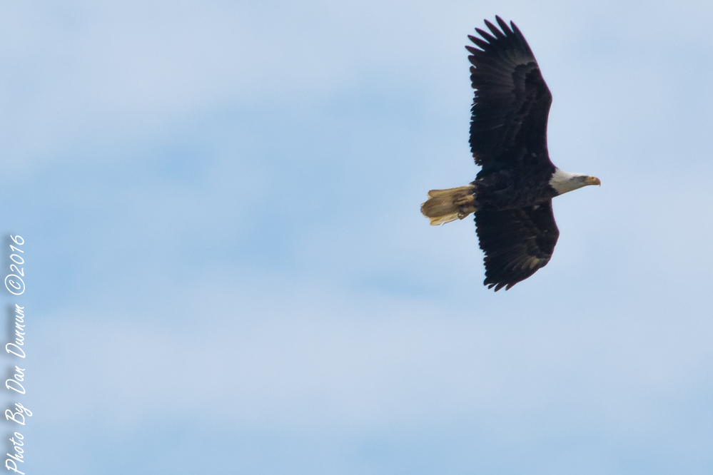 Taylorsville Trip-2684-Edit.JPG
