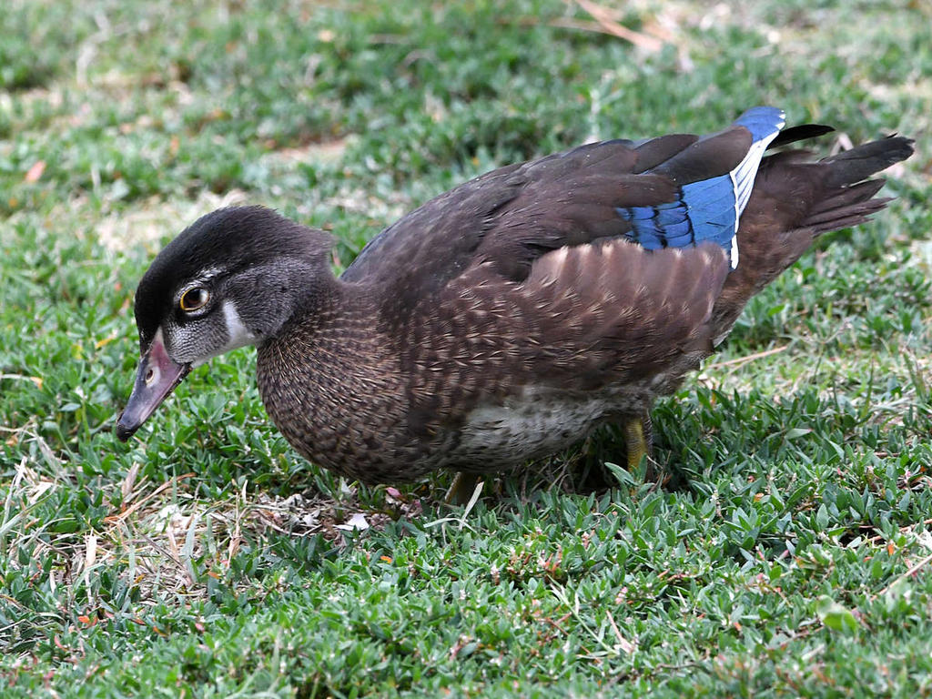 Teal3.jpg