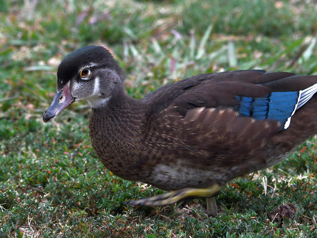 Teal4.jpg