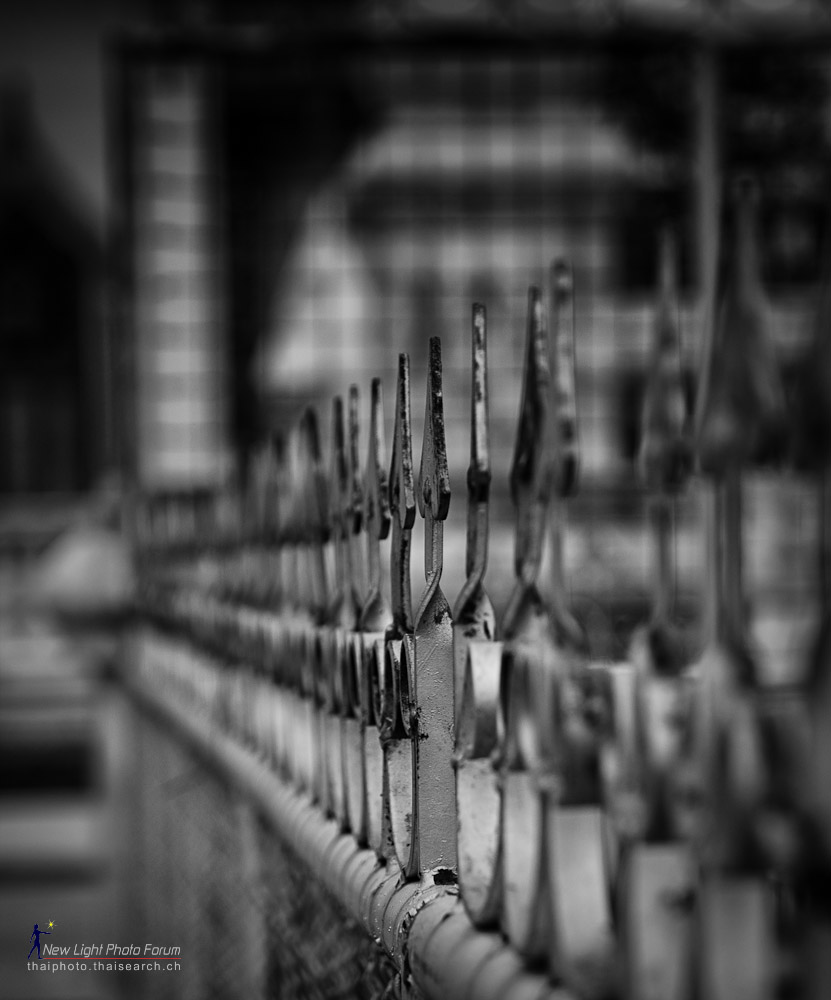 tempfence-1.jpg