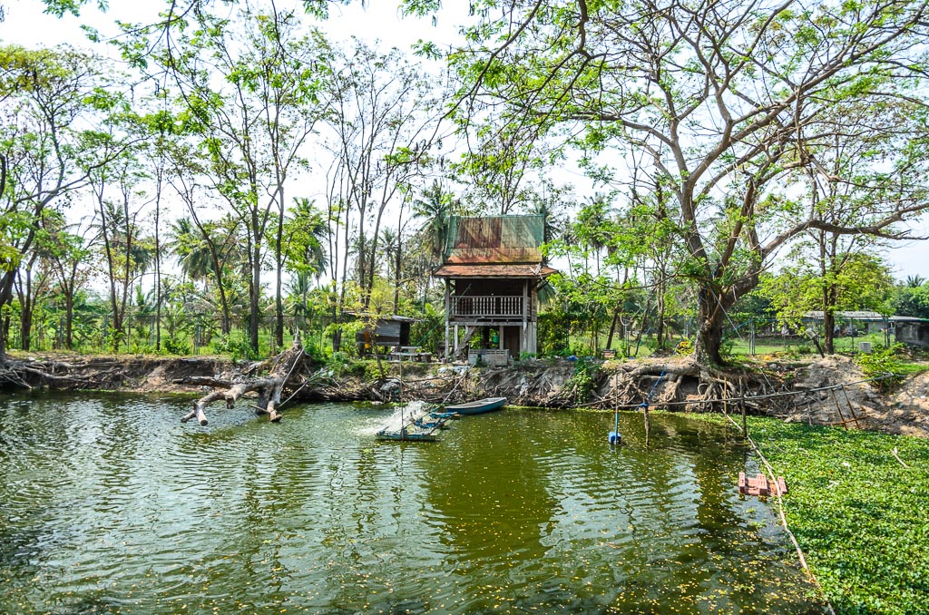 temple-pond-banbung-ype-2.jpg