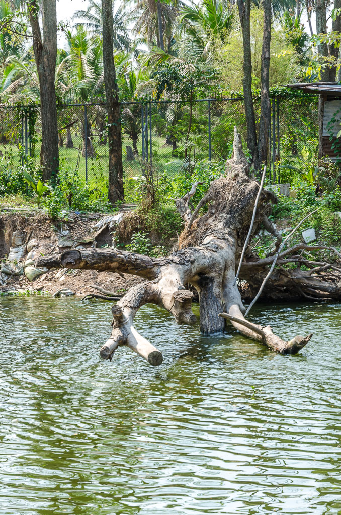 temple-pond-banbung-ype-3.jpg
