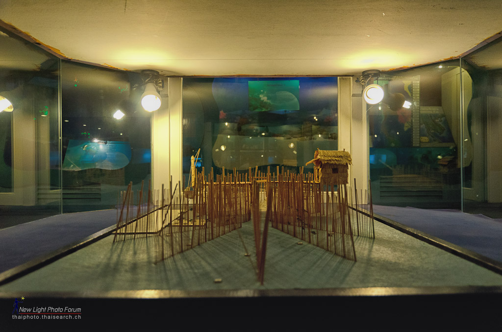 thaihouse-1.jpg