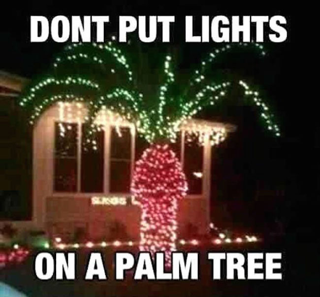 the-best-funny-pictures-of-funniest-christmas-decorations-ever-never-put-christmas-lights-on-a-.jpeg
