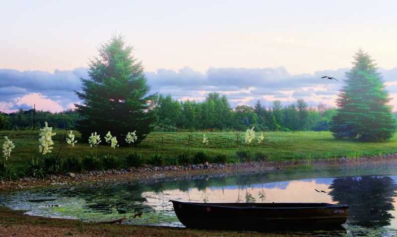 the boat800.jpg