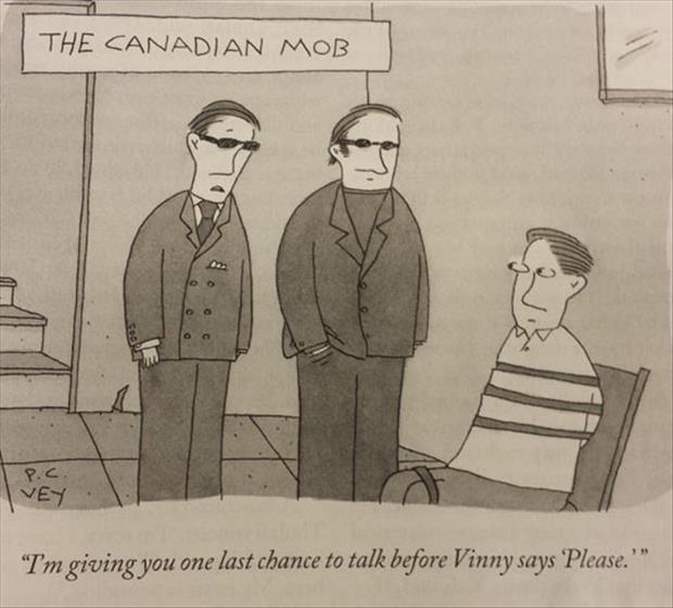 the-canadian-mob.jpg