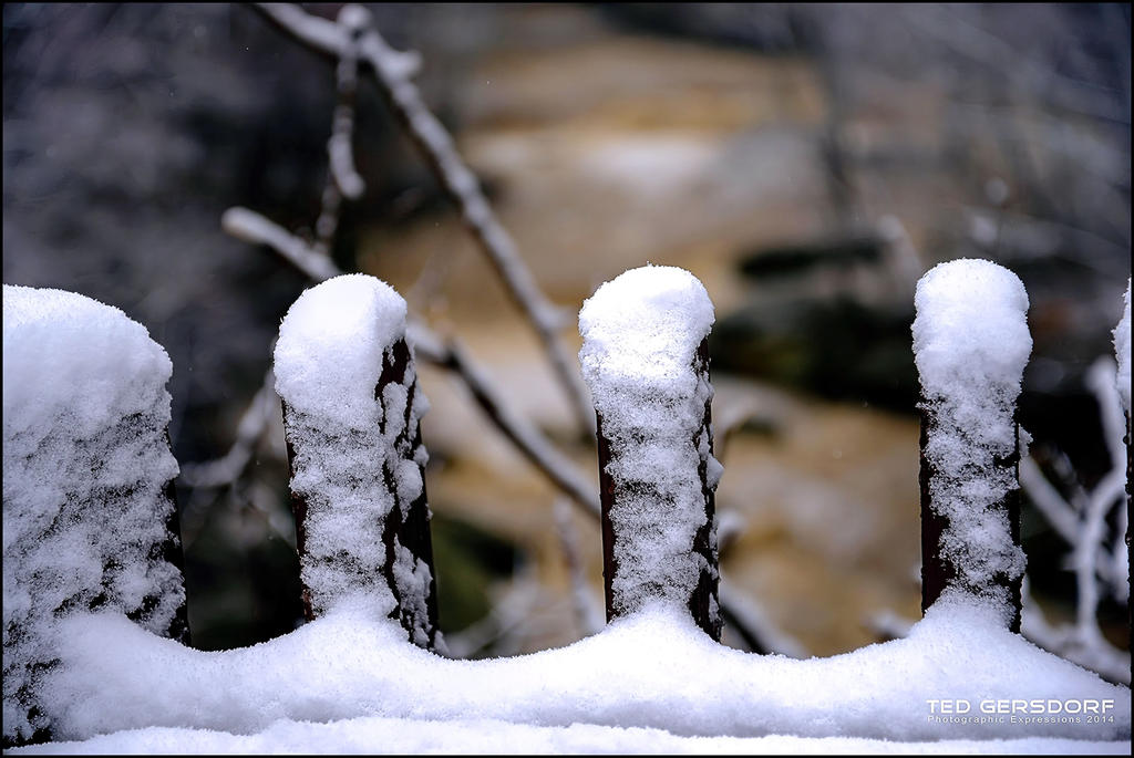 The End of Winter.jpg
