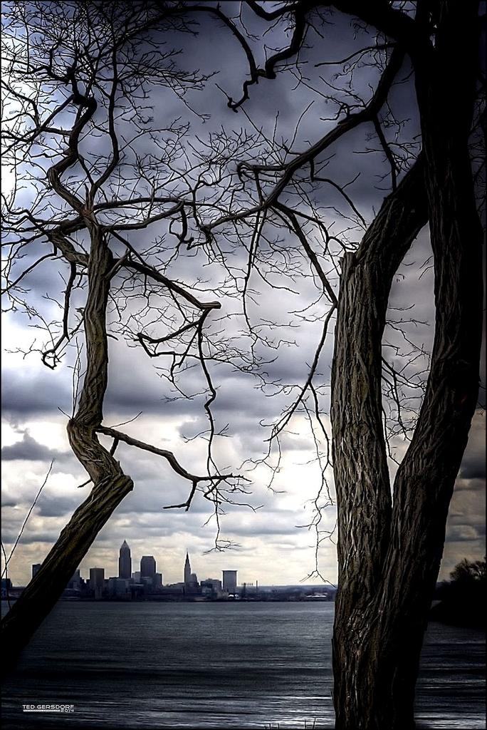 The Forest City II.jpg