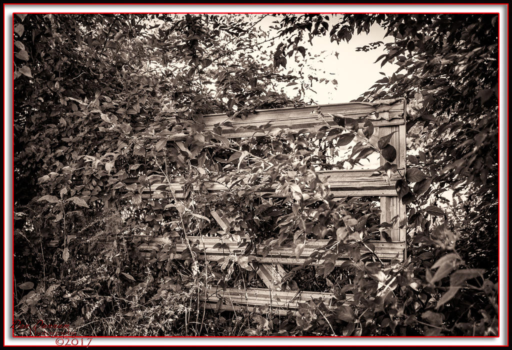 The Gate-8800-Edit.jpg