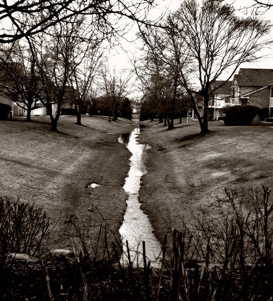The melt 1200.jpg