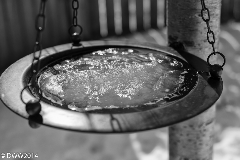 The Melting (1 of 1).jpg
