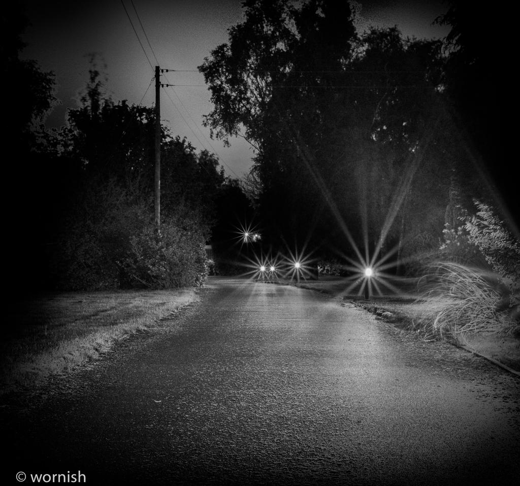 The Path.jpg