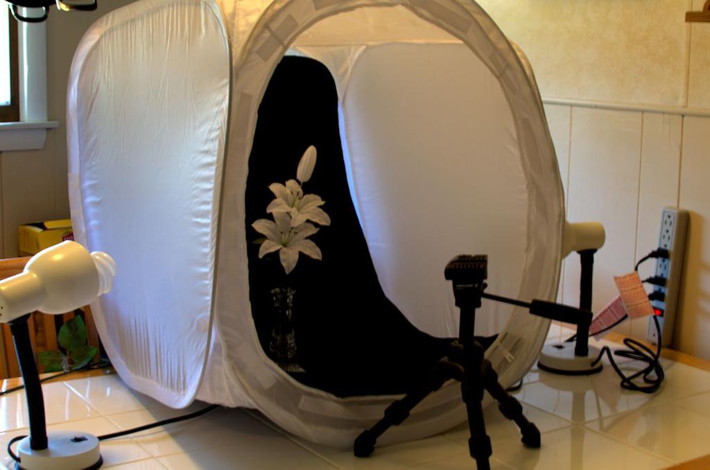 the setup.jpg