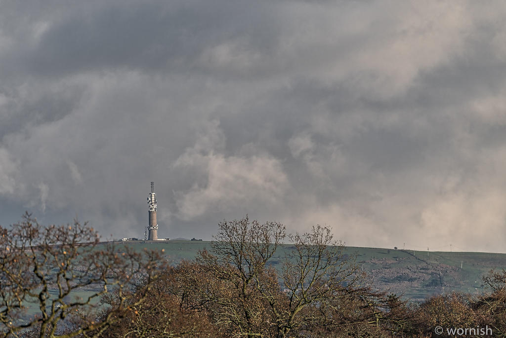 The tower on the hill.jpg
