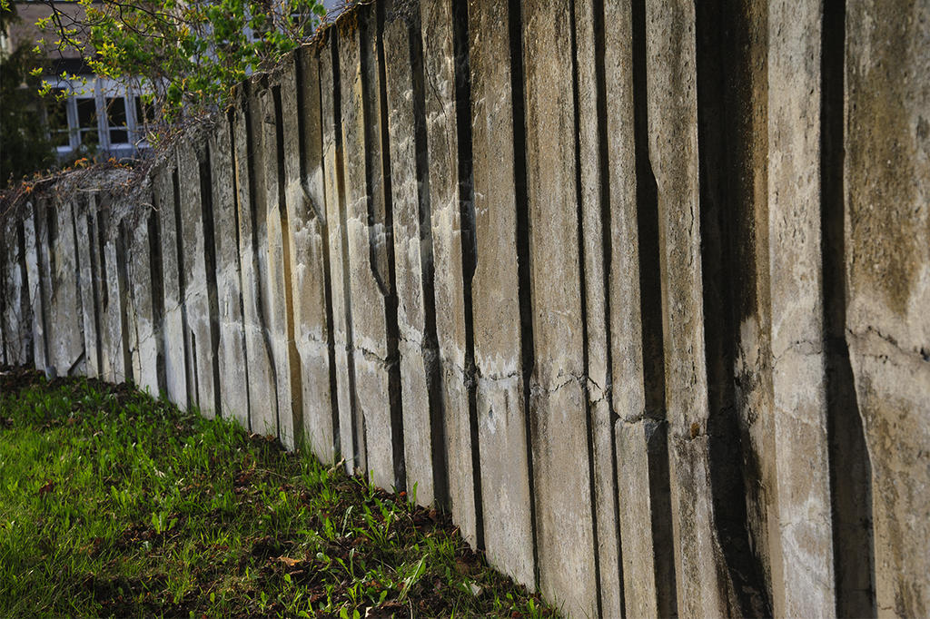 The wall.jpg