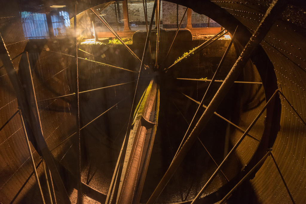 The-Wheel.jpg
