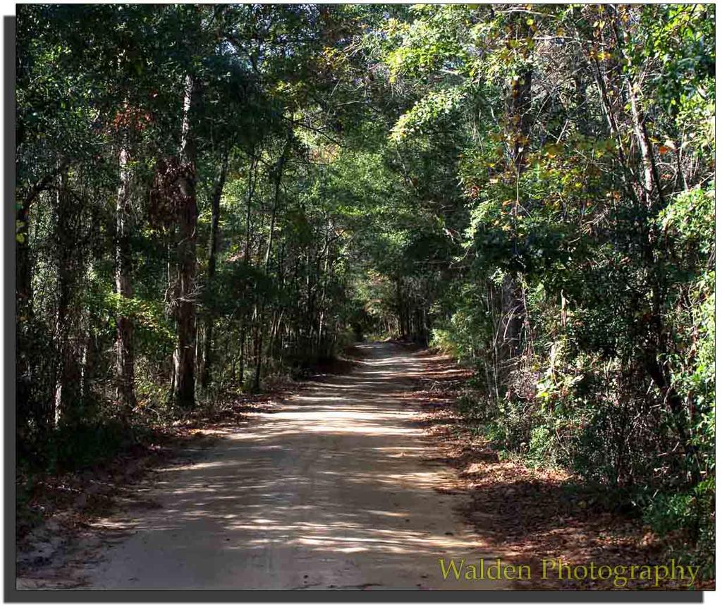 The Winding Road.jpg